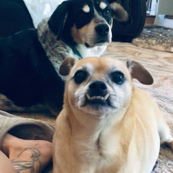 Meet your Posher, C.R.M - Picture 6 of 6